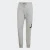 ADIDAS SPORTSWEAR Sportbroek  antraciet / lichtgrijs