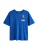 Next Shirt  beige / blauw / kersrood / zwart / wit