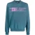 Diesel gestreept logo blauw sweatshirt