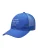 Today I did nothing Pet  blauw