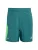 ADIDAS PERFORMANCE Sportbroek ‘Tech Apparel’  smaragd / kiwi