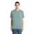 T-shirt Dickies Mapleton