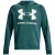Under Armour Heren rival fleece hoodie