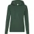 Fruit of the Loom Dames/Dames Klassieke Hoodie (Fles groen)