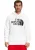 The North Face Standard Heren Hoodie in Wit