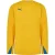 Puma Heren Team Shirt Met Lange Mouwen (Geel)