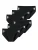 SCHIESSER Slip  zwart / wit