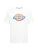 DICKIES Shirt ‘Icon Logo’  hemelsblauw / geel / pastelrood / wit