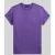 Polo Ralph Lauren T-shirt met labelstitching