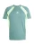 ADIDAS PERFORMANCE Functioneel shirt ‘Tech App’  groen / lichtgroen / wit