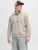Jack & Jones Sweatshirt JJESOHO SWEAT QUARTER ZIP HN NOOS