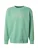 THE NORTH FACE Sweatshirt ‘DREW PEAK’  beige / groen