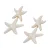 Candy Sweet Jewellery oorbellen met zeesterren ecru