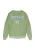 s.Oliver Sweatshirt  lichtblauw / olijfgroen / donkergroen