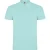 Roly Heren Ster Poloshirt (Munt)