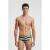 Arena Men’s  Multi Stripes Swim Low Waist Black Multi