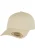 Flexfit Pet  sand