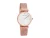 Emporio Armani AR1956 Rosé Gouden Plated Zilveren Wijzerplaat Mesh Armband