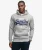 Superdry & Co Organic Cotton Vintage Logo Hoodie Grijs