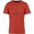 Regatta Heren Cline IX Explore Scenery T-Shirt (Rood Oker)