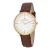 Pierre Cardin Belleville Park herenhorloge Bruin CBV.1031