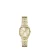Skagen horloge SKW3162 Mellem Lille goudkleurig