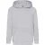 Fruit of the Loom Kinder/kids classic 260 hoodie