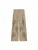 Scalpers Pantalon ‘ ‘  camel
