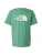 THE NORTH FACE Shirt ‘EVOLUTION HALF DOME’  groen / wit