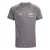 ADIDAS PERFORMANCE Functioneel shirt ‘Audi Formula One Team Driver’  grijs / zilvergrijs