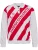 Hummel Shirt ‘DBU 26 Fan Dynamite’  rood / wit