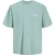 Jack & Jones Heren t-shirt jorsantorini ronde hals mintgroen