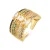 Luxenter ring in metaallegering en multicolor zirkonia, afgewerkt in 18 karaat geelgoud – Thihsak
