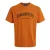 Craghoppers Heren Batley Werk T-Shirt (Pottenbakkers klei)