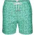 SWIMS Polpo Swim Short Thyme