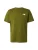 THE NORTH FACE Shirt ‘NSE CELEBRATION’  kiwi / wit