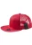 MSTRDS Pet  rood