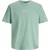 Jack & Jones Jorfolie haze tee ss crew neck