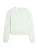 TOMMY HILFIGER Sweatshirt  mintgroen / wit