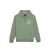 Hoodie Dickies Parrotsville