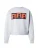 Calvin Klein Sweatshirt ‘OUTTAKES’  beige / grijs / kreeft / zwart