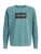Jack & Jones Junior Sweatshirt ‘JJCOLE’  smaragd / zwart / wit