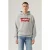 Levi’s Standard Graphic Hoodie Co Hm Two Color