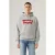 Levi’s Standard Graphic Hoodie Co Hm Two Color
