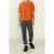 American Vintage Slycity T-shirt Renard