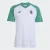 ADIDAS PERFORMANCE Tricot ‘Algeria 26 Home Pre-Match’  groen / wit