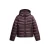 Gewatteerd donsjack voor dames Superdry Fuji Quilt