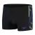 Speedo Tech Stripe-zwembroek voor heren (ZWART/BLAUW)