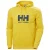 Sweater met capuchon en logo Helly Hansen
