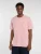 DICKIES Shirt ‘MAPLETON’  rosa